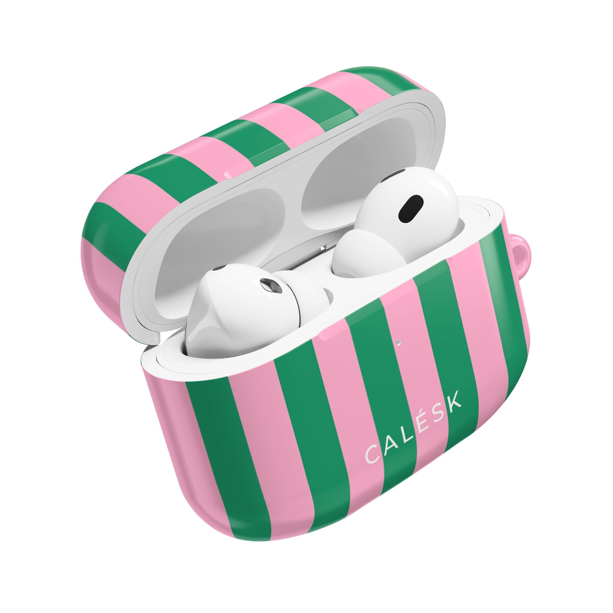 Spring Divide Earbuds Case