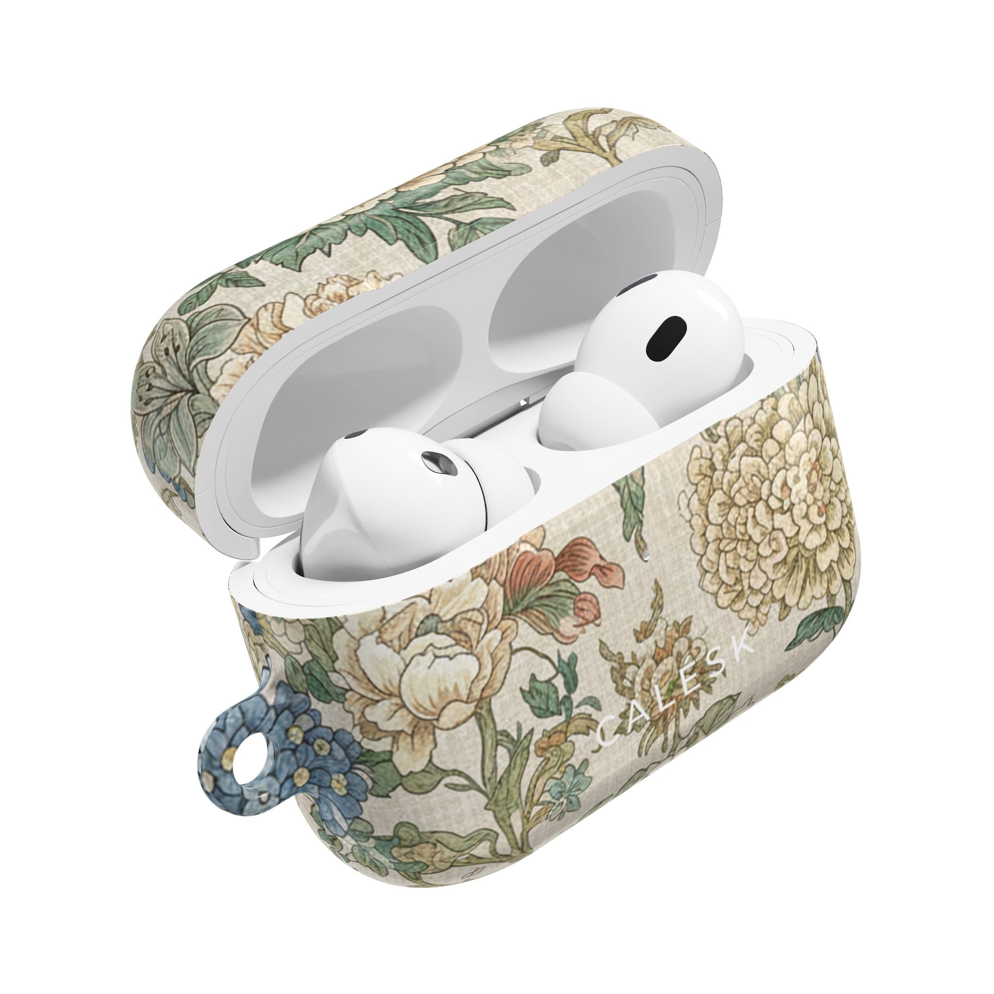 Old Garden Earbuds Case