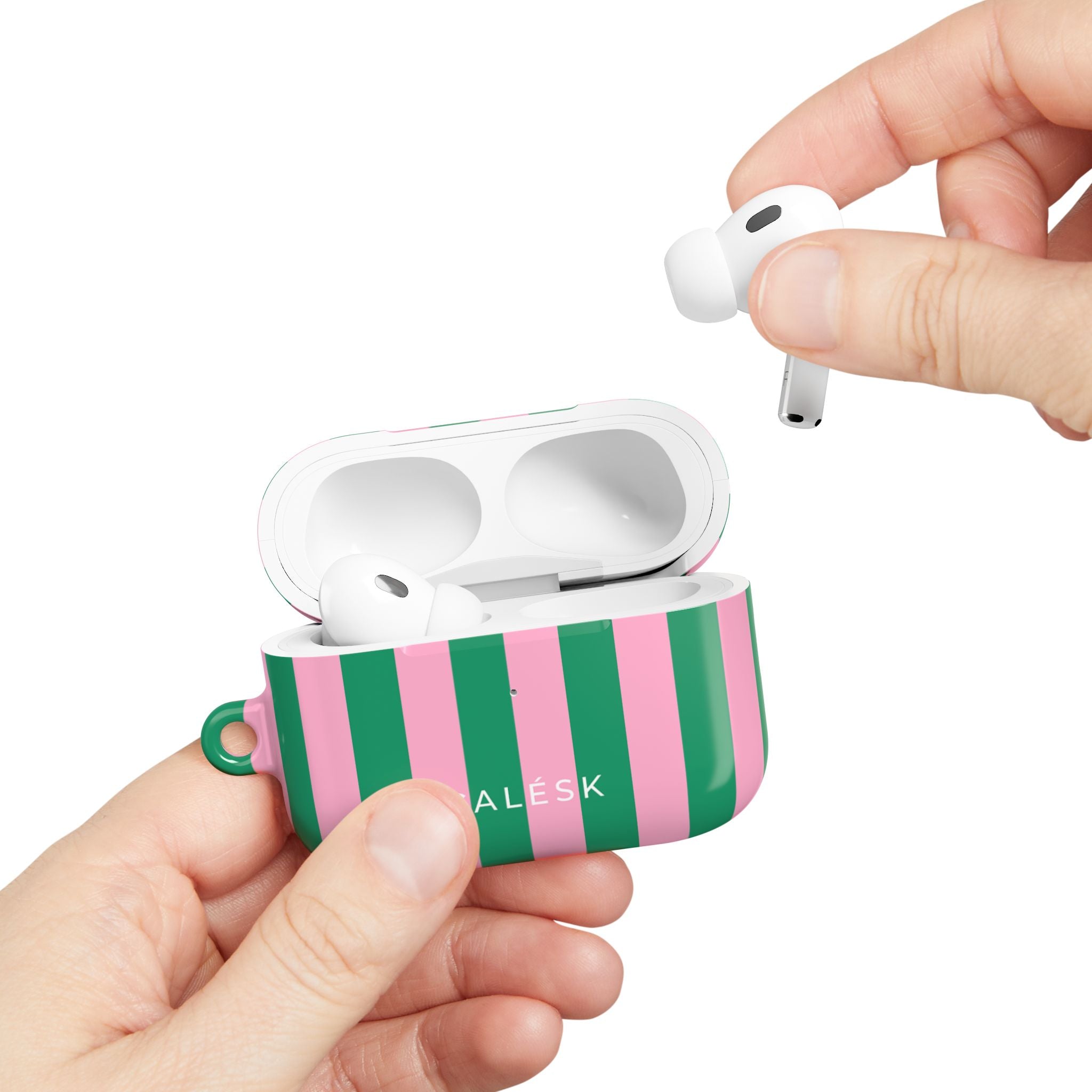 Spring Divide Earbuds Case
