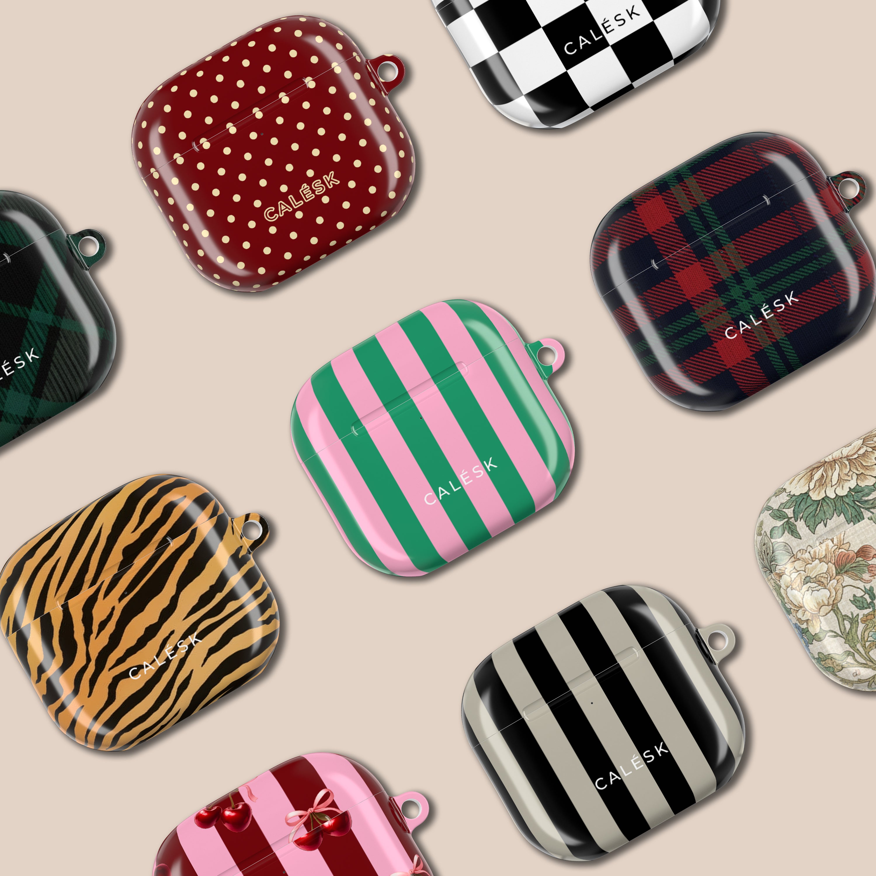 Spring Divide Earbuds Case